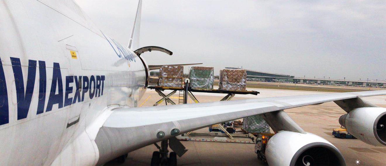 Cross border transportation of luggage and bags