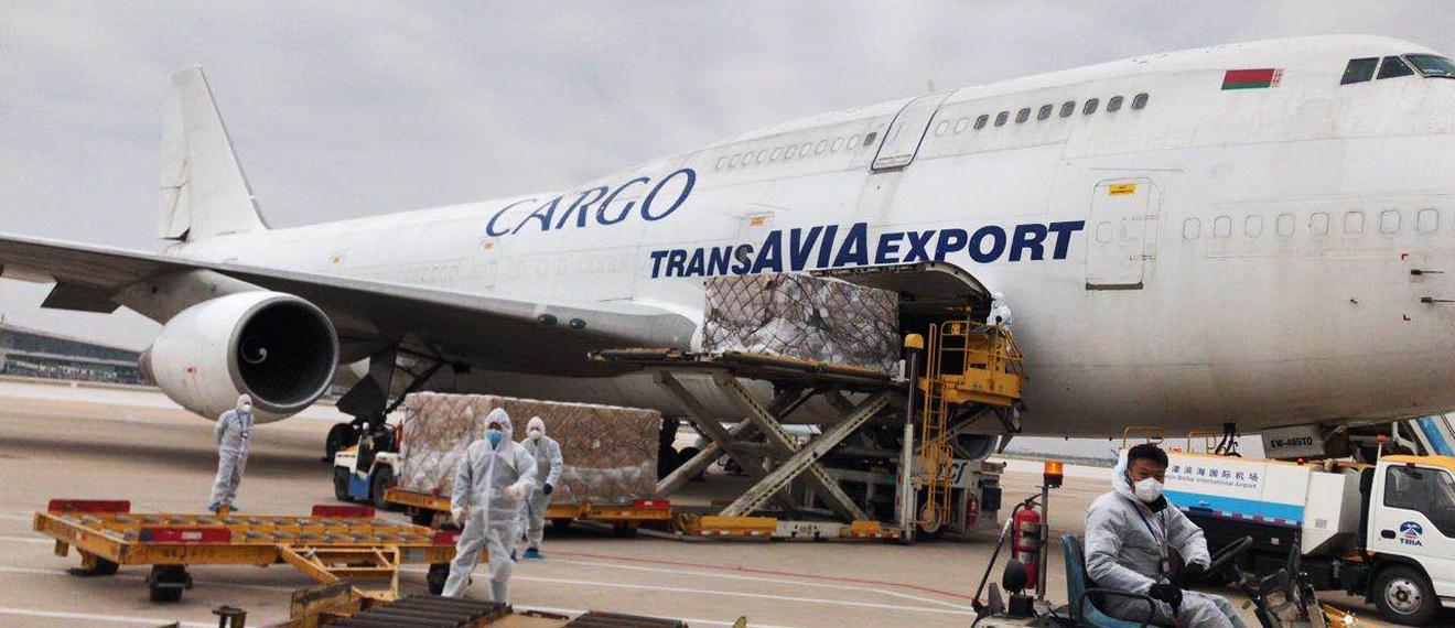 Air transportation of special items
